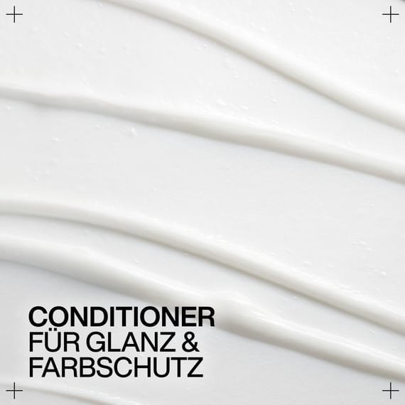 Conditioner