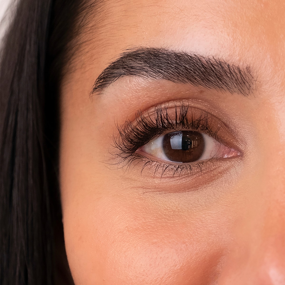 The Brow Serum