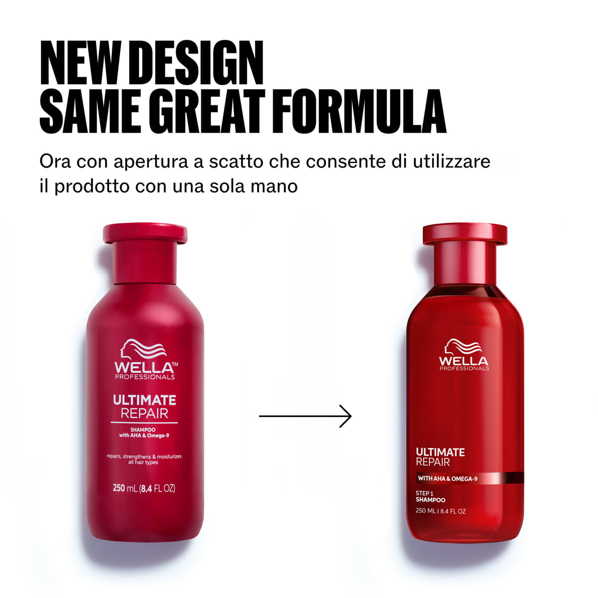 Shampoo
