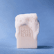 Solid Shampoo