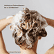 Color Security Shampoo