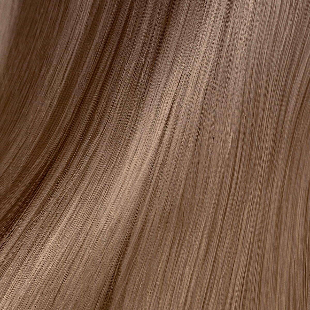 Hair Color Of The Year 2025 - 8.18 Light Ash Brownish Blonde