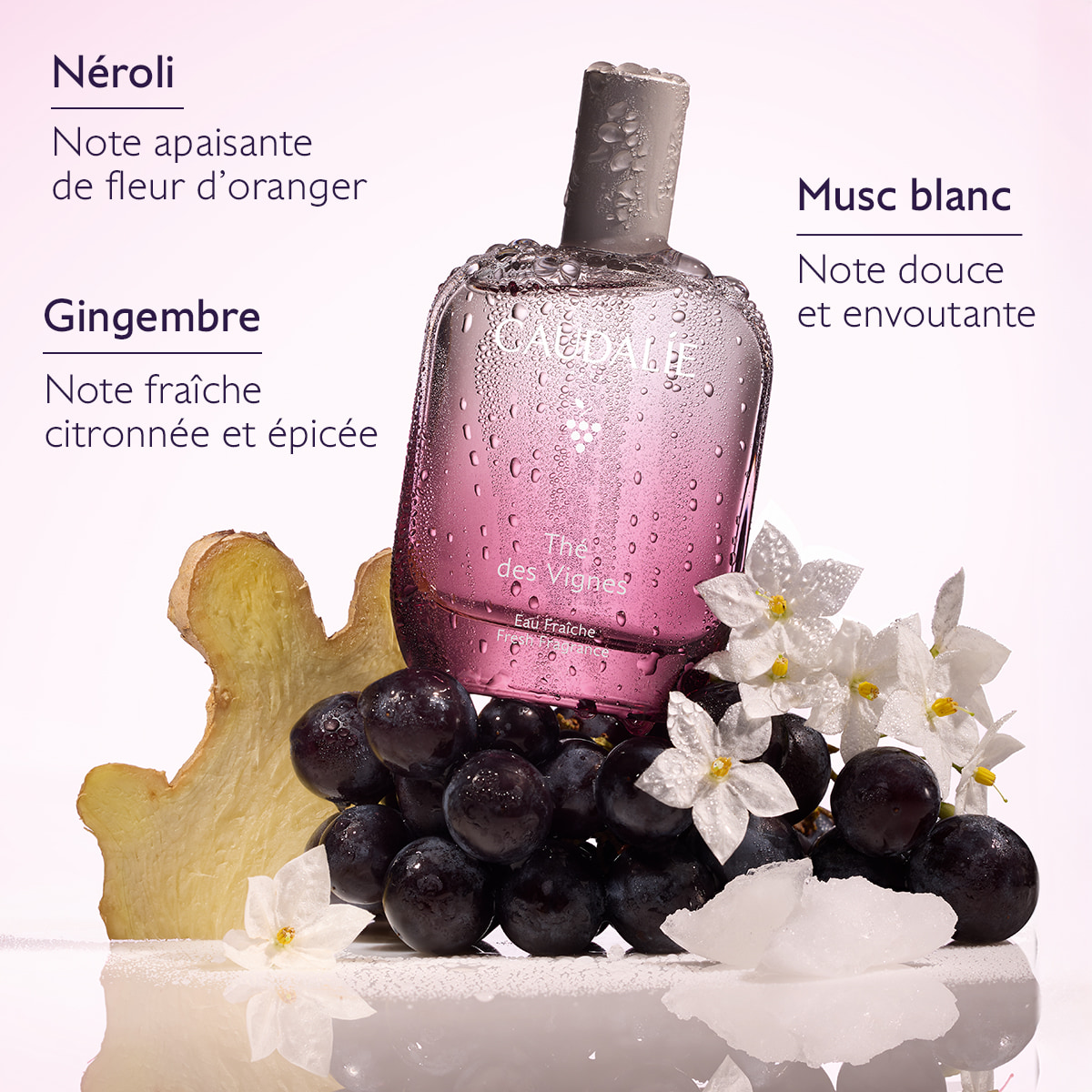 Eau Fraîche