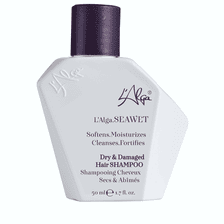 Seawet Shampoo