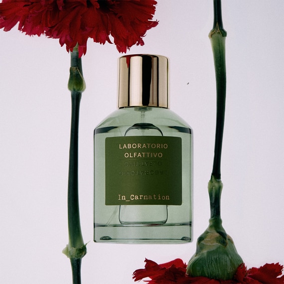 In_Carnation 