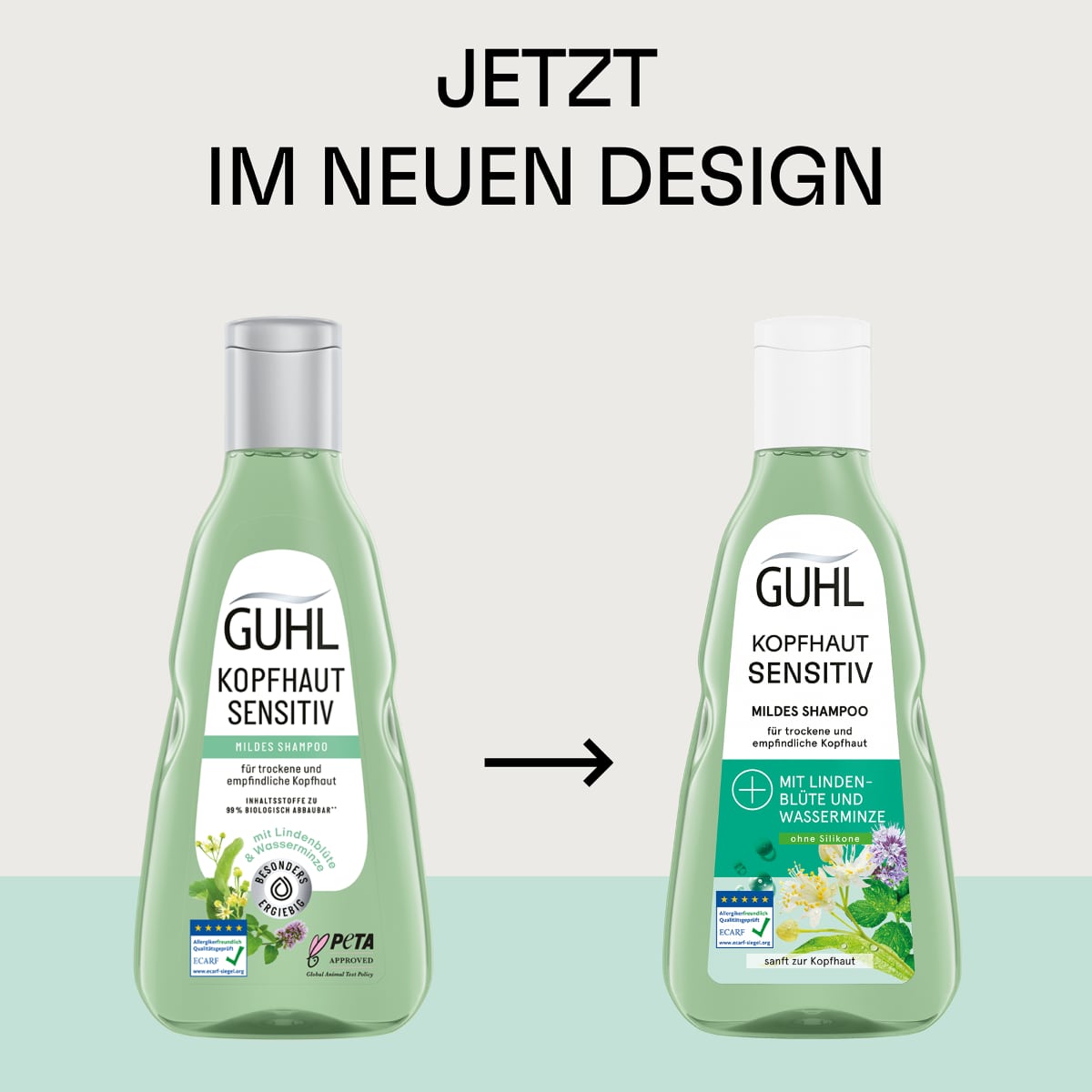 Shampooing Cuir Chevelu Sensible