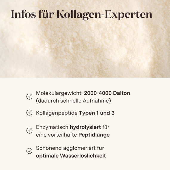 Kollagen Pulver Original mit Vitamin C
