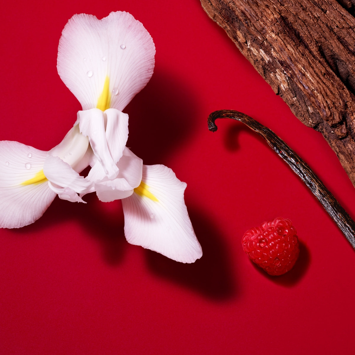 Sì Passione Red Bloom Eau de Parfum