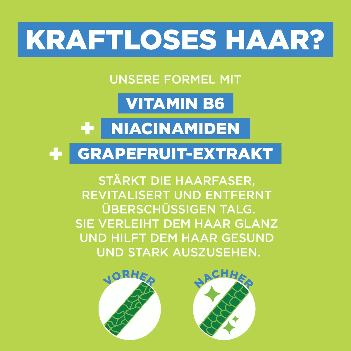 Kraft & Glanz kräftigendes Shampoo Grapefruitextrakt