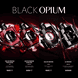 Black Opium Pink Glaze