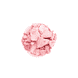L'Orchidée - Rose
