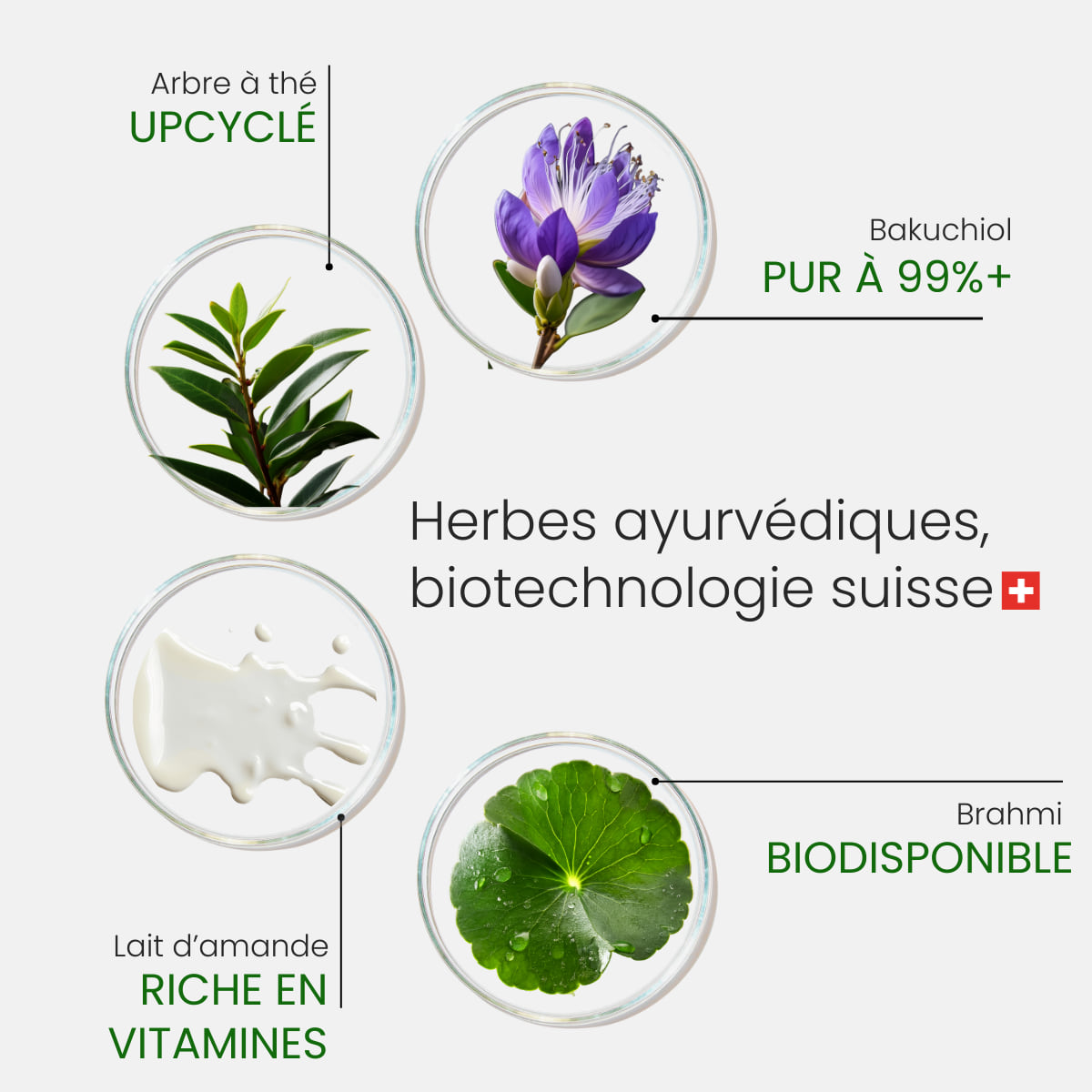 Sleep Recovery Sérum de nuit