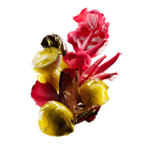 Vitamino Color Spectrum Shampoo