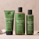 Wild Lemongrass Intense Moisture Shampoo