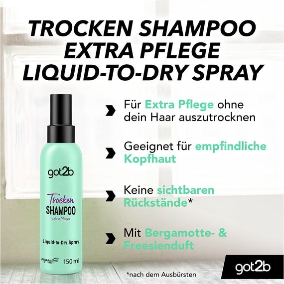 Fresh it Up Dry Shampoo Extra Pflege