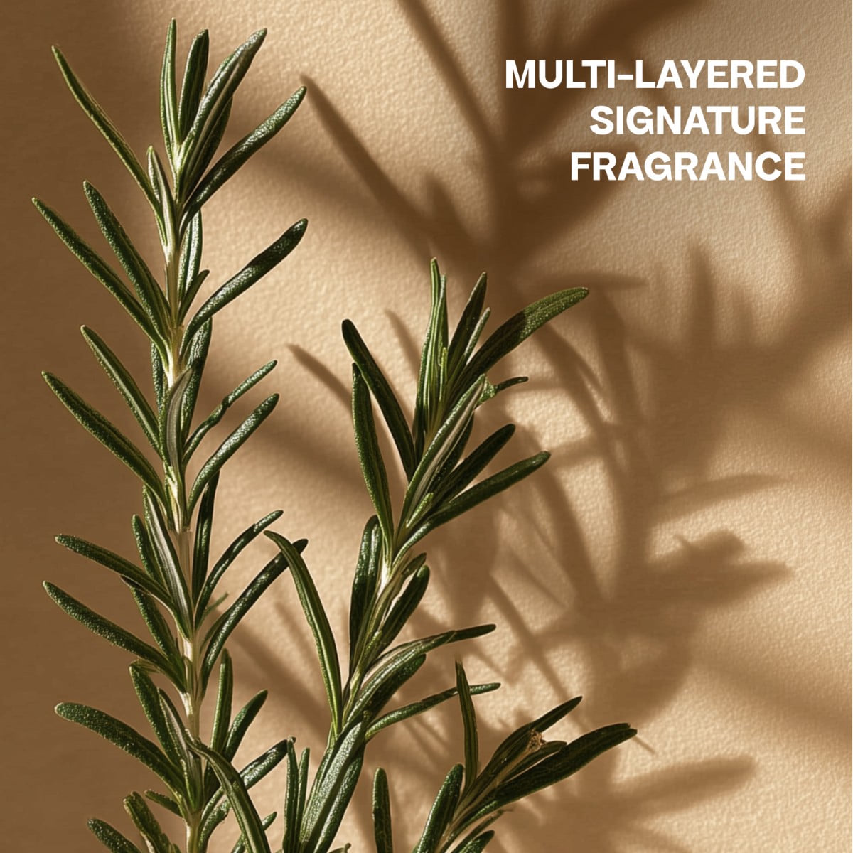 Handseife Rosemary Patchouli 14