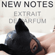 Erotika Minimale Extrait de Parfum