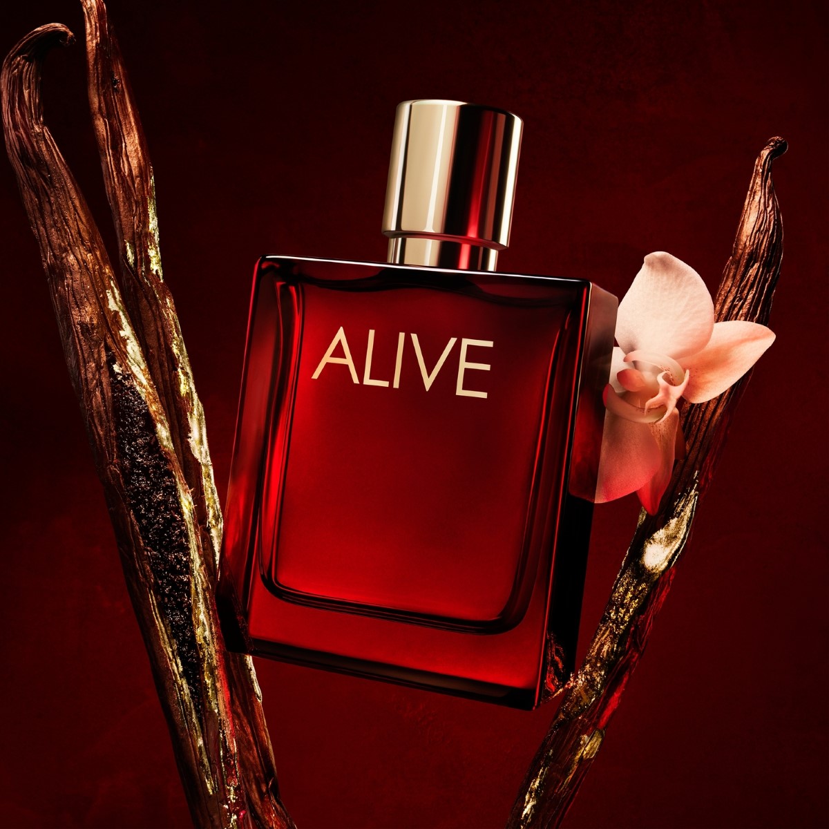 Absolu Parfum Intense