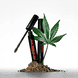 Eyes Wide Open Mascara NWP - Blackest Black