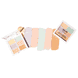 3C Color Correcting Palette