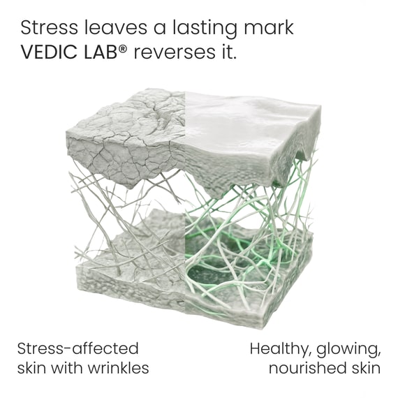 Sleep Recovery Night Serum