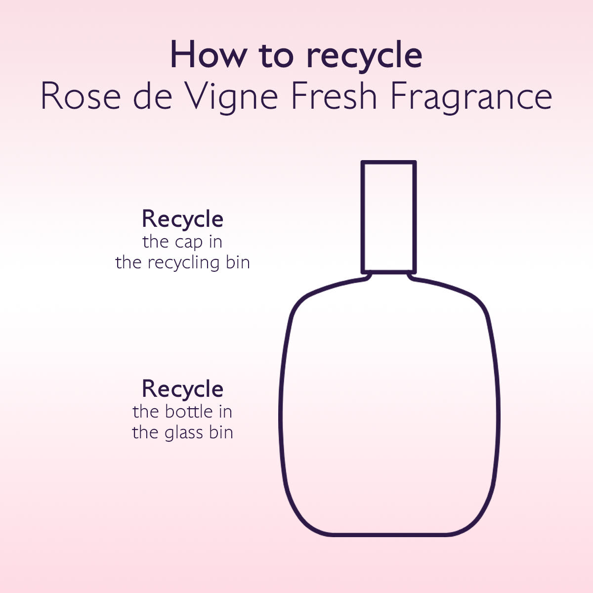 Fresh Fragrance