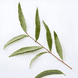 3-in-1 Refreshing Tea Tree Shampoo, Conditioner & Body Wash