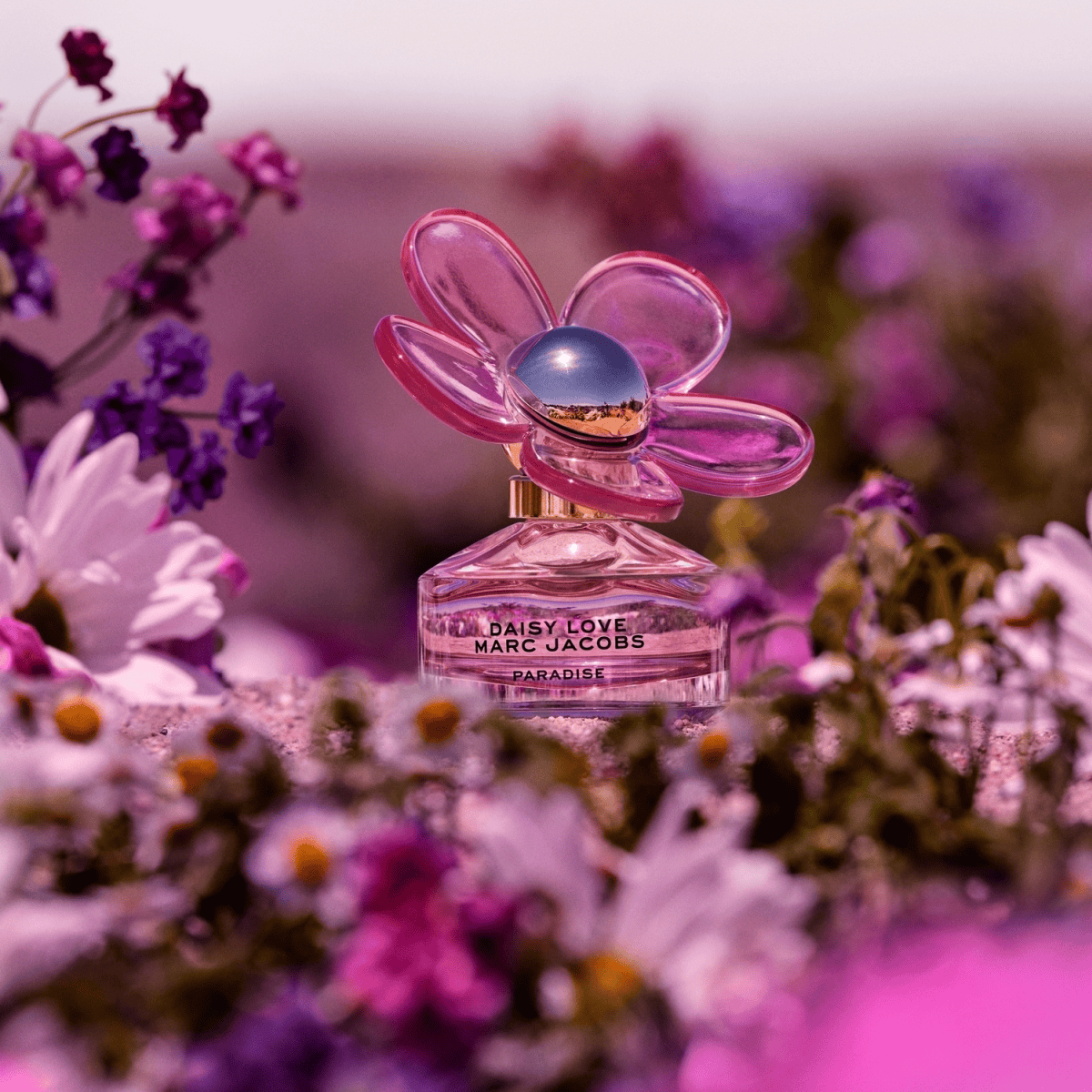Paradise Eau de Toilette