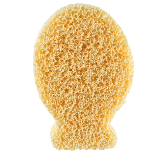 Silver Ion Sponge Fish