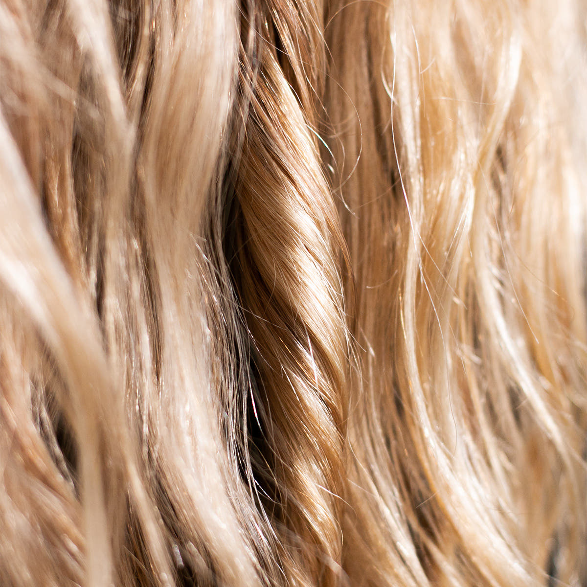 Hair Protection Oil