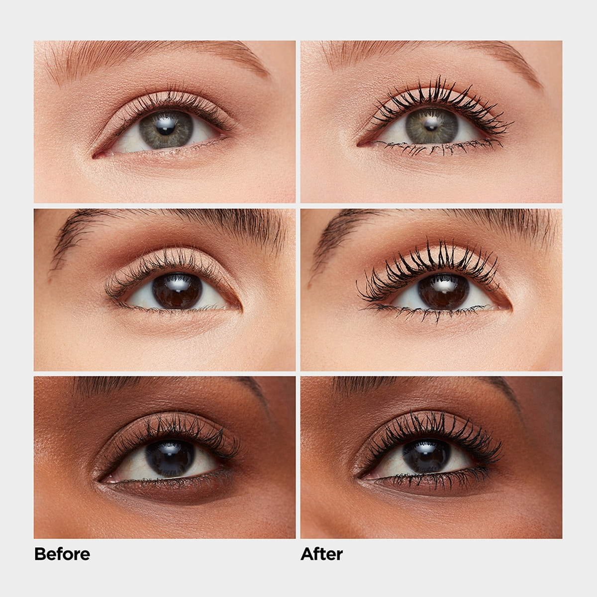 Xtensionnaire Mascara WP
