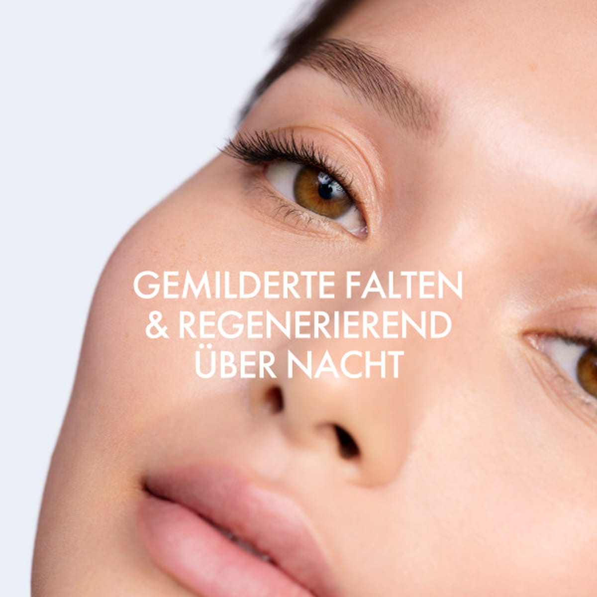 Nachtcreme - Anti-Falten Pflege