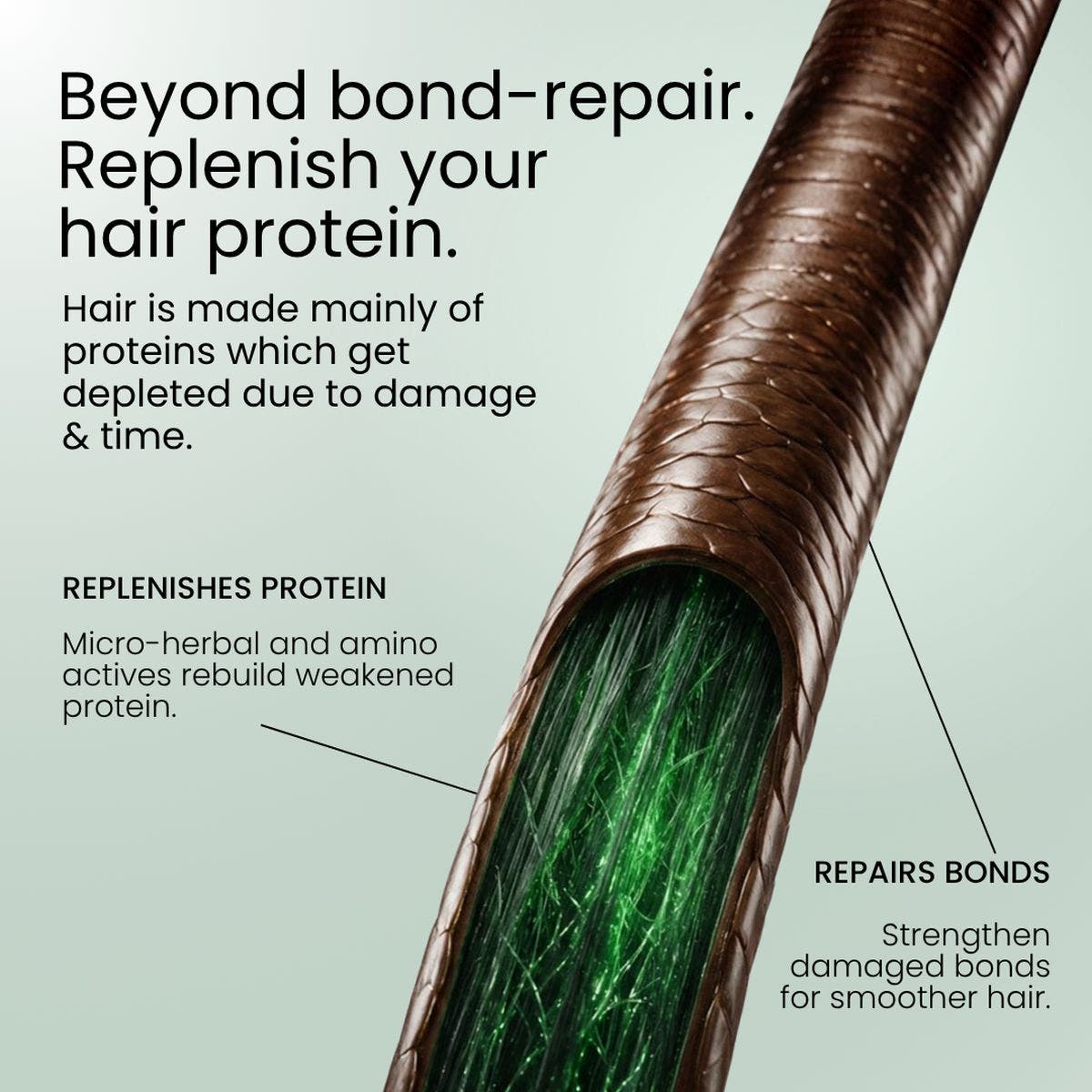Protein-Repair Conditioner