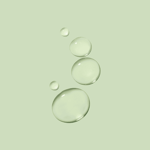 Anti-Frizz Conditioner