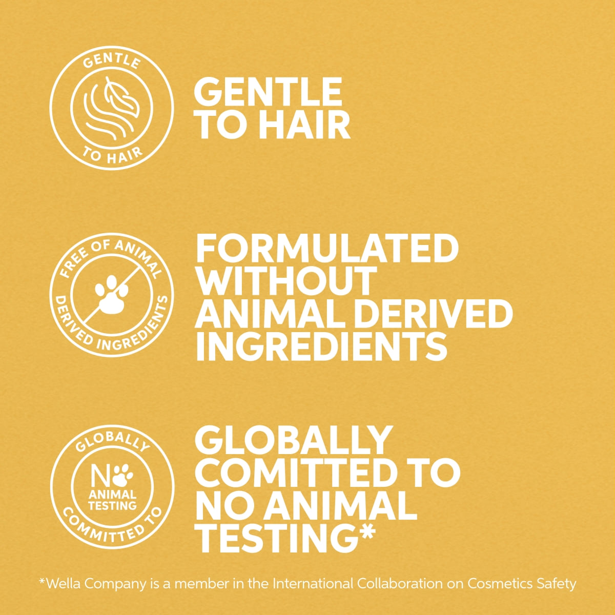 Care Conditioner