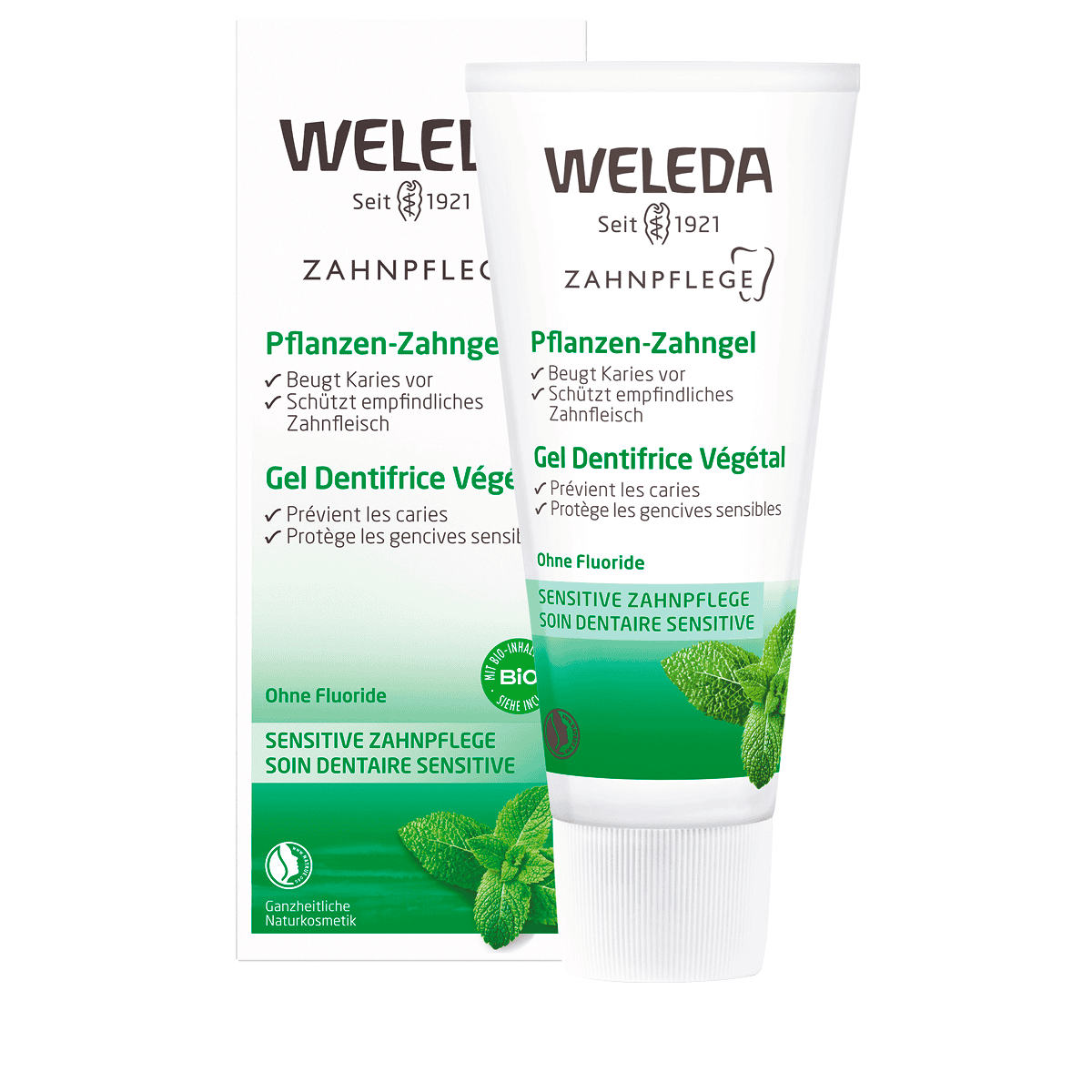 Gel Dentifrice Végétal