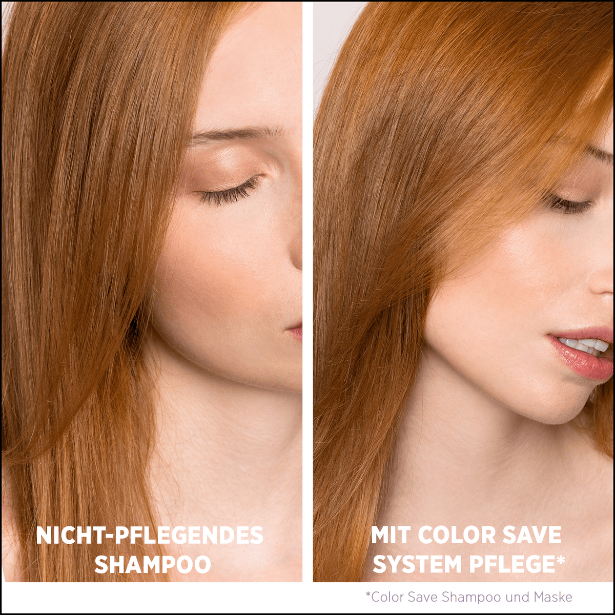 Shampoo
