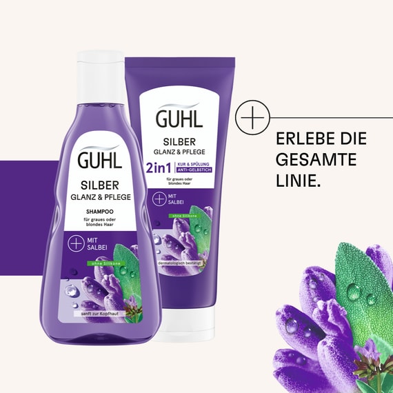 Silber Glanz & Pflege 2in1 Anti-Gelbstich Kur & Spülung