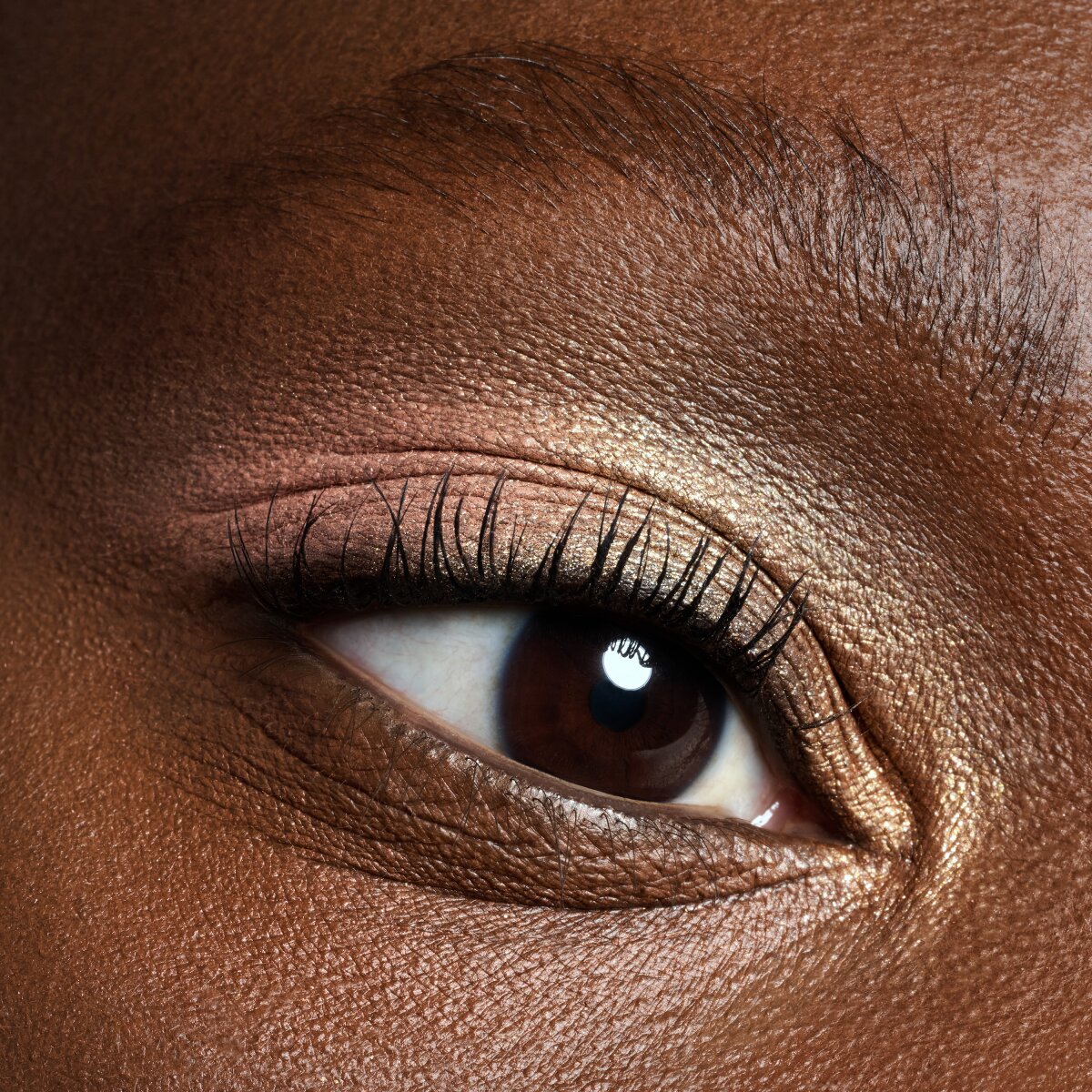 The Warm Honey Eyeshadow Palette