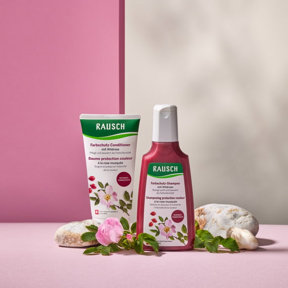 Farbschutz-Conditioner mit Wildrose