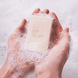 Solid Shampoo