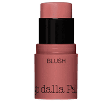 All In One Blush 43