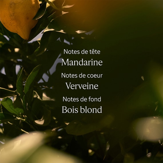 Verveine Agrumes Eau de Toilette