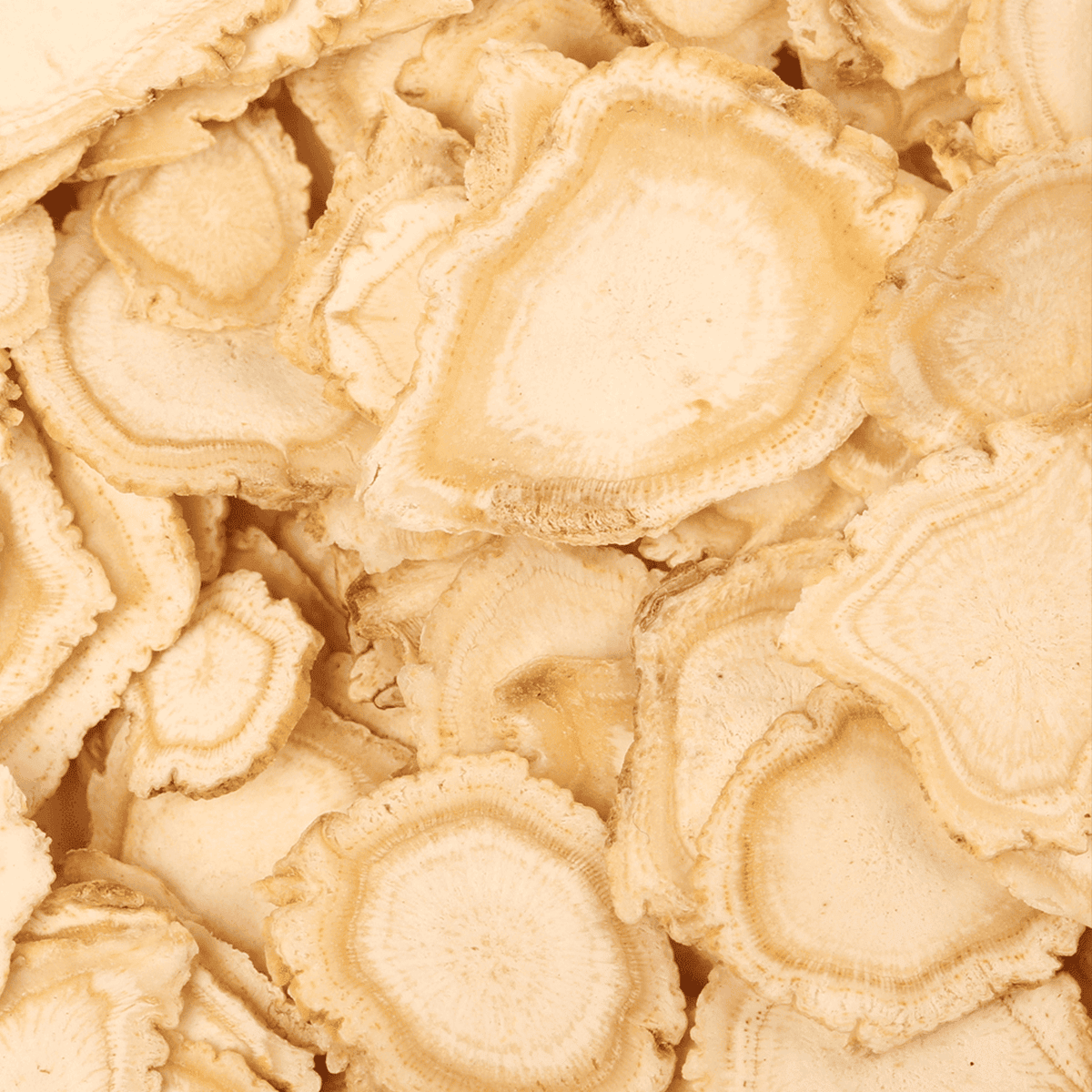 Pacchetto Duo Perdita Capelli Ginseng