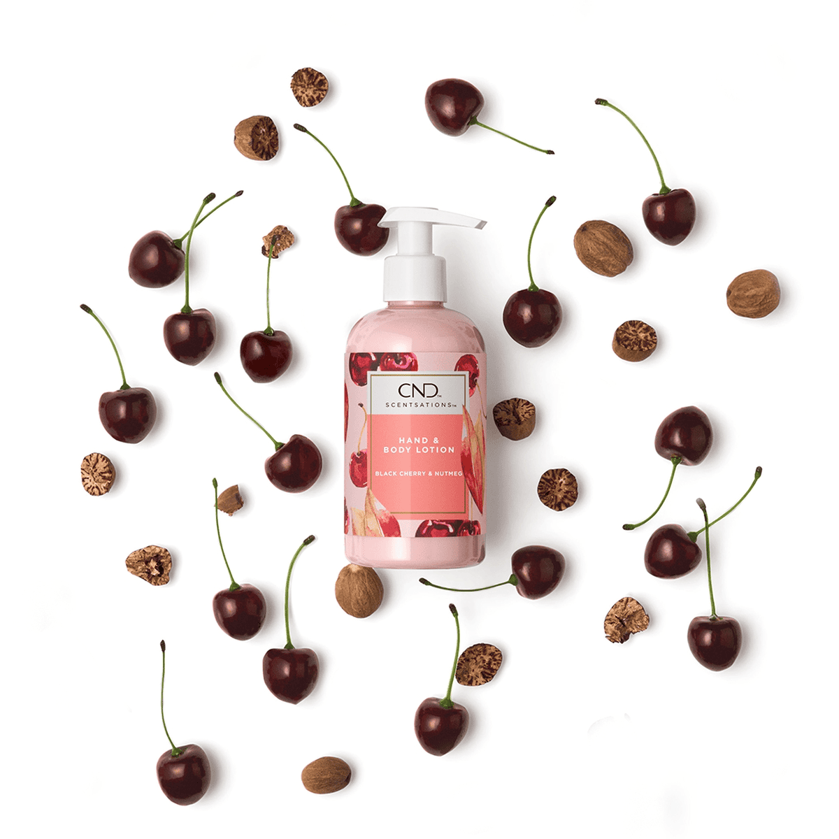 Black Cherry & Nutmeg Hand & Body Lotion