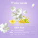 Honey and Macadamia Pure Body Wash - White Musk