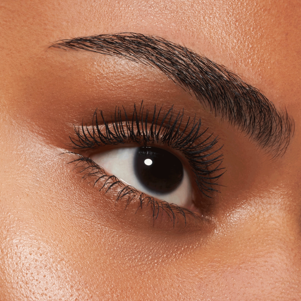 Dramatic False Lash Effect Mascara
