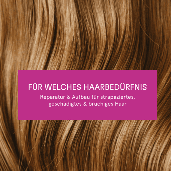 Reparatur & Aufbau Spülung