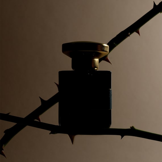 Rose Palezia Extrait de Parfum