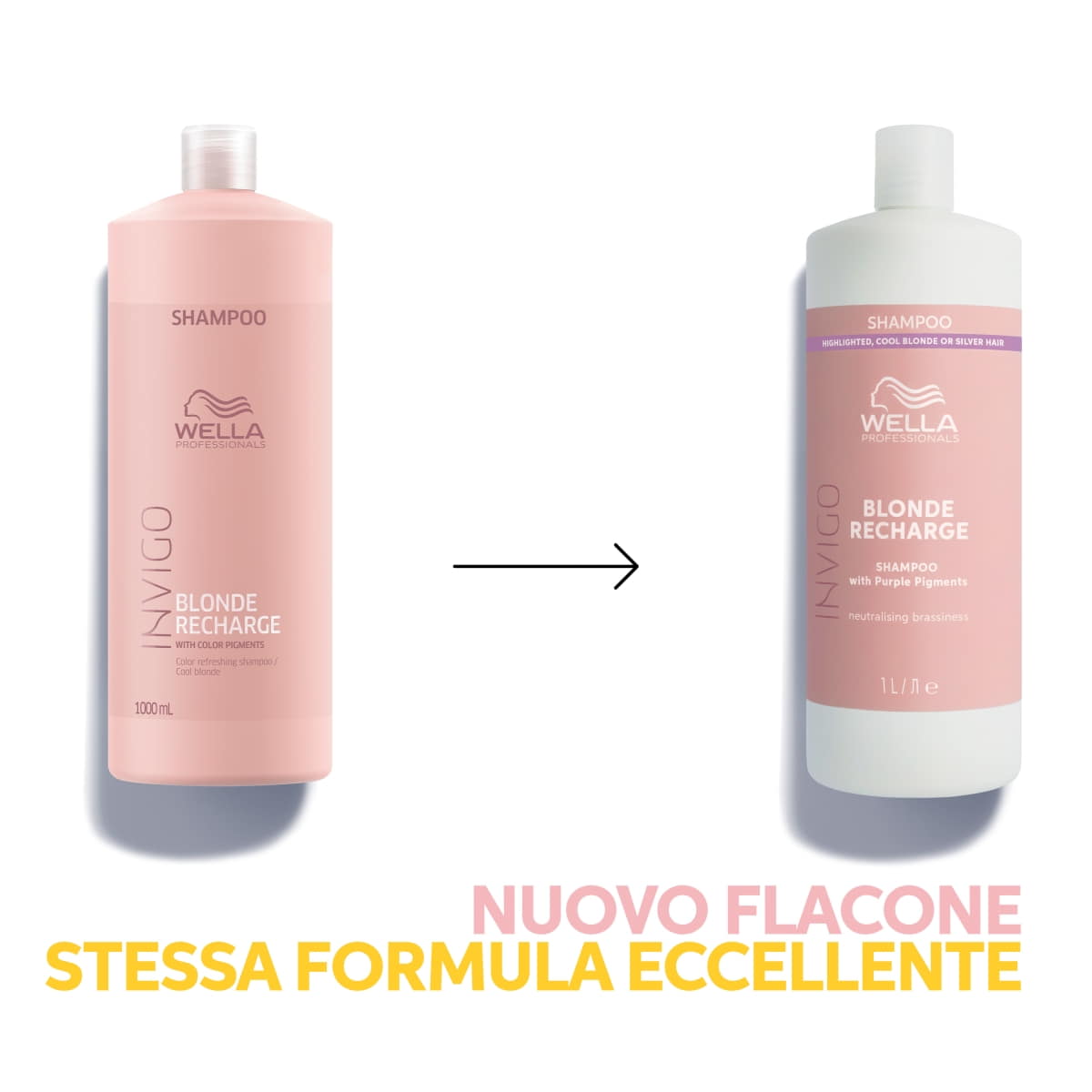 Shampoo